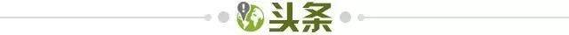 三亿体育官网-【早报】逼平袋鼠，练帅初见成效？国足找到最强11人！